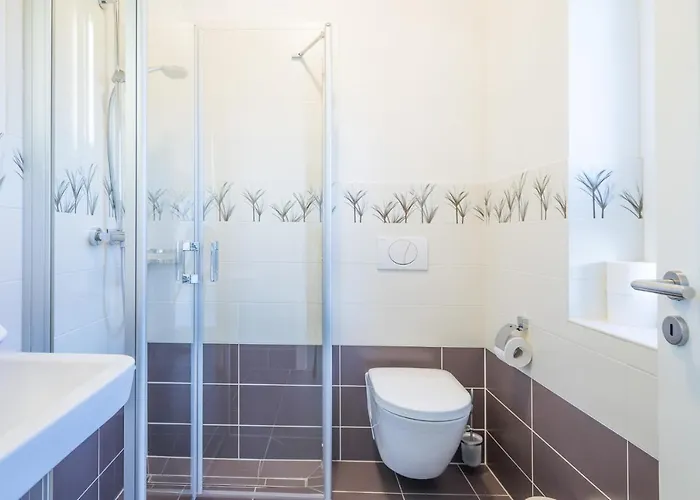 Rotschenkel Dagebüll